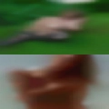 Swinger bars Tyler