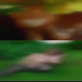 Fetish ads