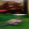 Swinging couples