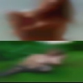 Women fucking