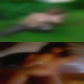 Wife massage swingers