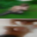 Just fuck Spokane