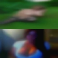 Adult swingers