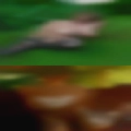 Are woman looking fuck