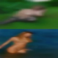 Looking for women