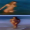Female adult groups