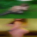 Women who want fuck Gainesboro