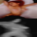 Horny women violated