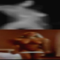 Horny females that fuck