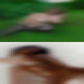 Sluts Macclenny