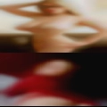 Pussy New