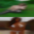 Fuck Milford