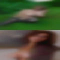 Women show pussy Moberly